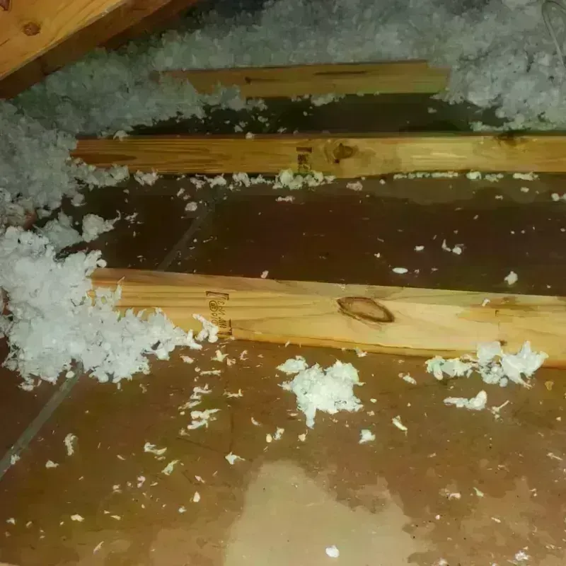 Attic Water Damage in Comanche County, TX