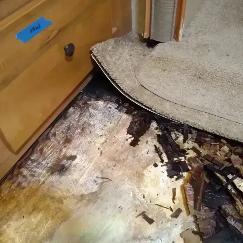 Best Wood Floor Water Damage Service in Comanche County, TX